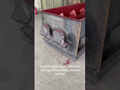 Convoyeur à vis multi-arbres personnalisé - Mélangeur à double arbre robuste pour béton