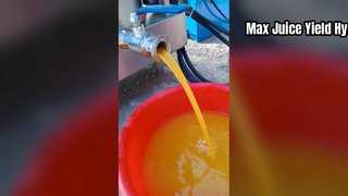 Presse-agrumes hydraulique puissant à usage commercial