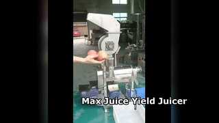 Extracteur de jus commercial à haut rendement